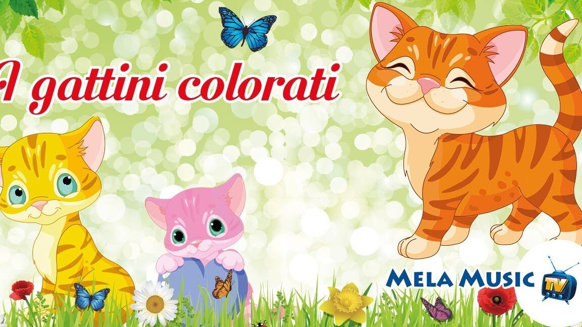 gattini colorati