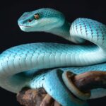 serpente blu